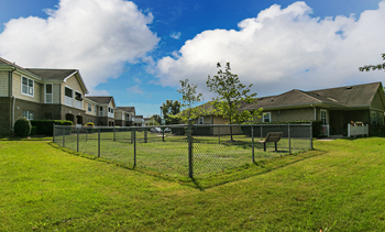 Community dog park
